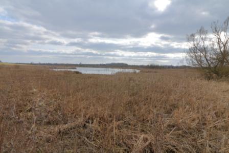 image of Doxey Marshes Nature Reserve