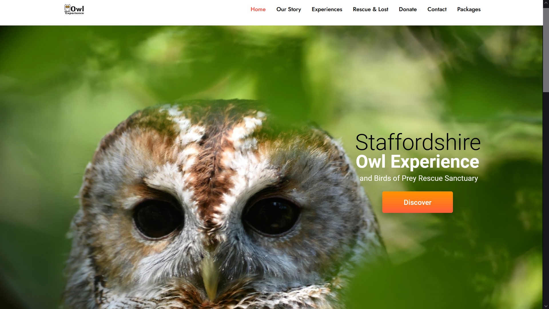 image of the staffordshire owl trust website