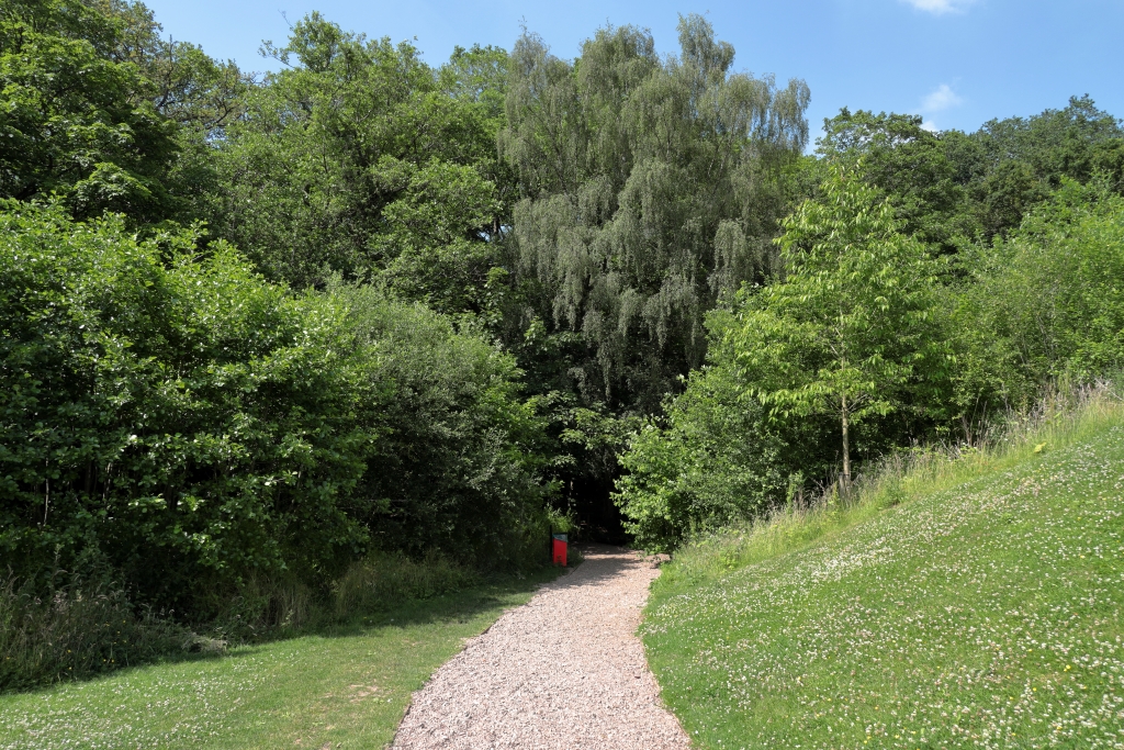 image of Hem Heath Woods